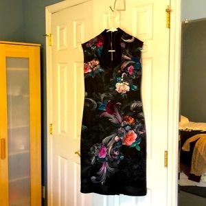 Ted Baker dress worn once